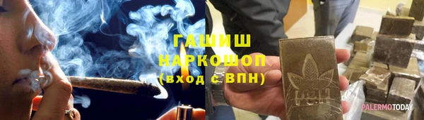 шишки Ельня