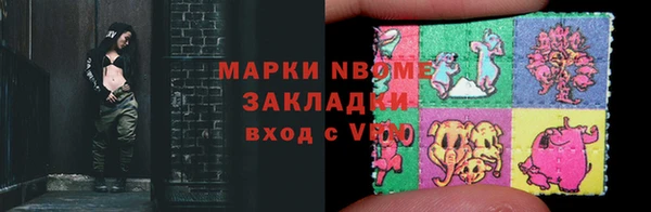 шишки Ельня