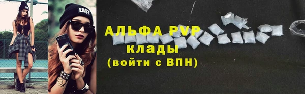 шишки Ельня