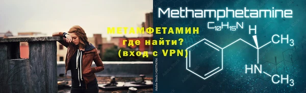 шишки Ельня