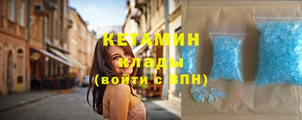 шишки Ельня