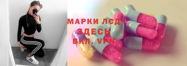 шишки Ельня