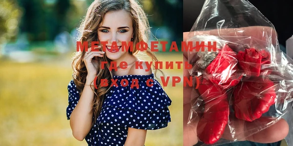 шишки Ельня