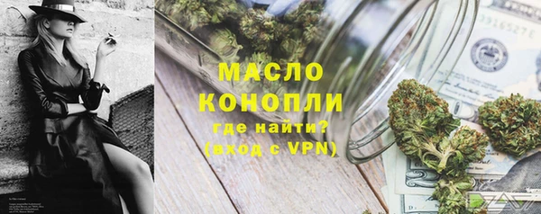 шишки Ельня
