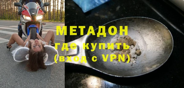 шишки Ельня