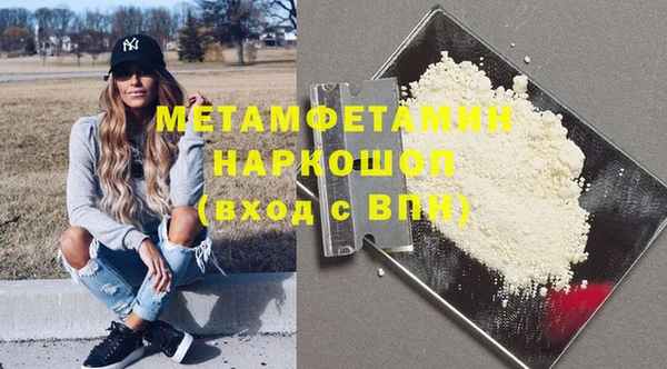 шишки Ельня