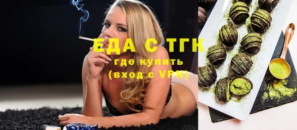 шишки Ельня