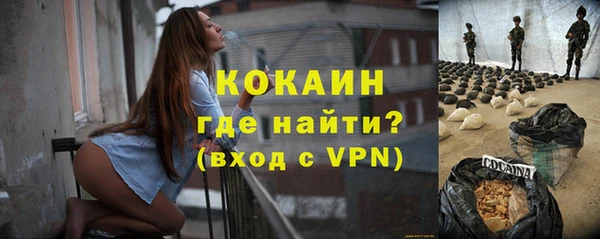 шишки Ельня