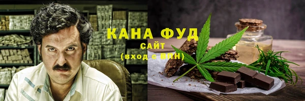 шишки Ельня