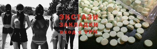 шишки Ельня