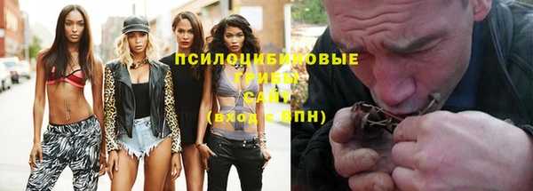 шишки Ельня