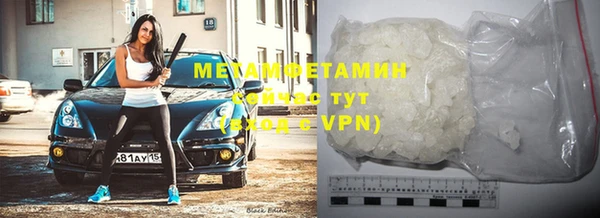 шишки Ельня