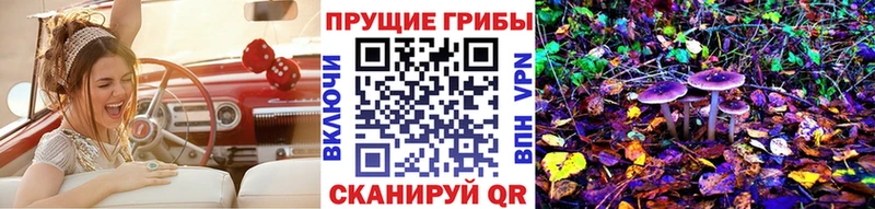 сколько стоит  Яхрома  Псилоцибиновые грибы Psilocybe 